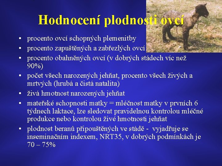 Hodnocení plodnosti ovcí • procento ovcí schopných plemenitby • procento zapuštěných a zabřezlých ovcí