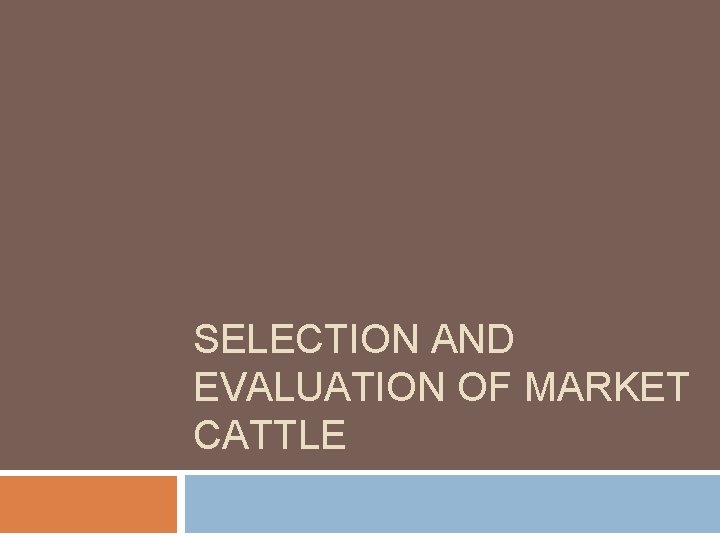 SELECTION AND EVALUATION OF MARKET CATTLE 