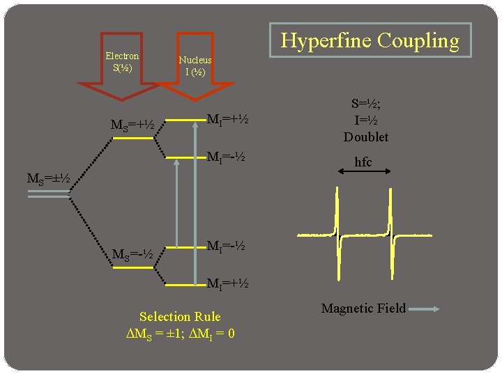 Electron S(½) MS=+½ Hyperfine Coupling Nucleus I (½) MI=+½ S=½; I=½ Doublet MI=-½ hfc