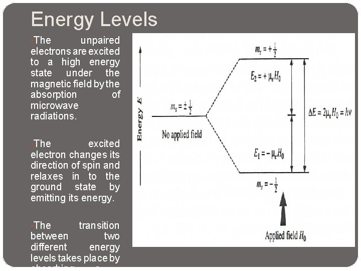 Energy Levels • The unpaired electrons are excited to a high energy state under