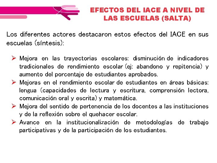 EFECTOS DEL IACE A NIVEL DE LAS ESCUELAS (SALTA) Los diferentes actores destacaron estos