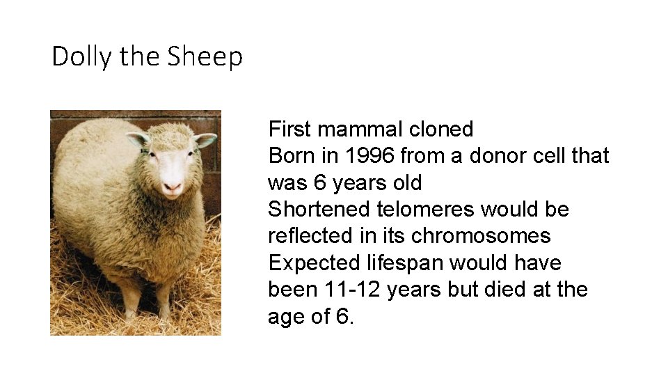 Dolly the Sheep First mammal cloned Born in 1996 from a donor cell that