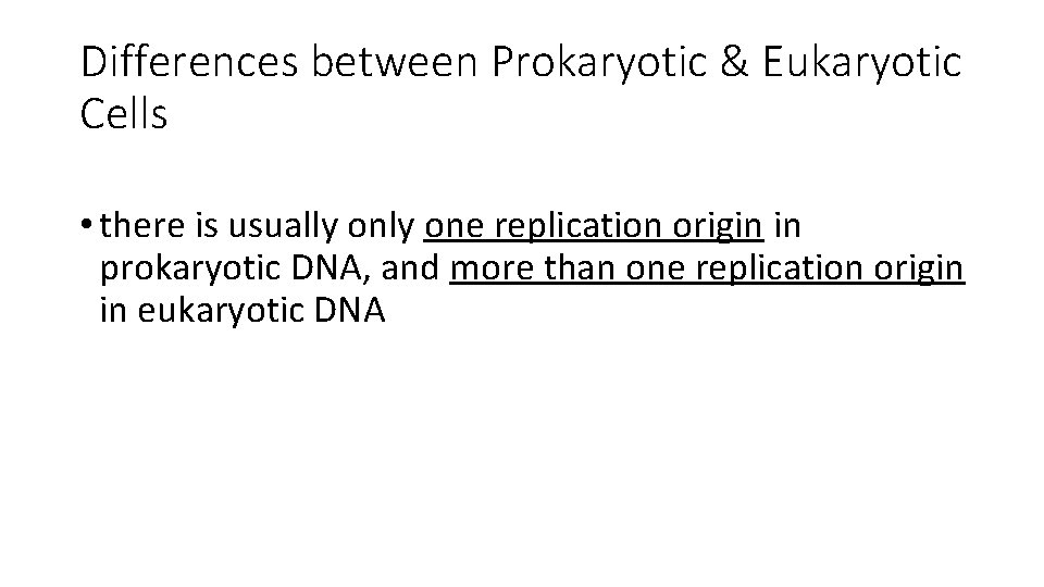 Differences between Prokaryotic & Eukaryotic Cells • there is usually one replication origin in