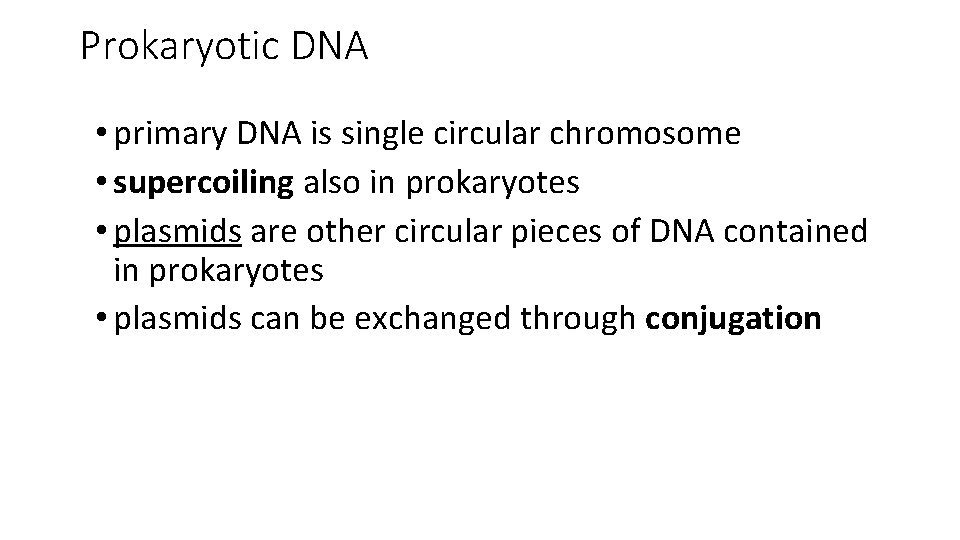 Prokaryotic DNA • primary DNA is single circular chromosome • supercoiling also in prokaryotes