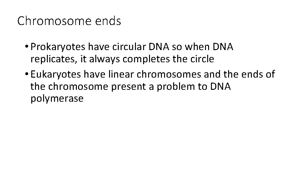 Chromosome ends • Prokaryotes have circular DNA so when DNA replicates, it always completes