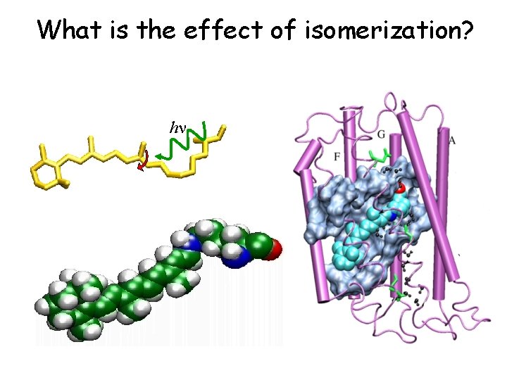 What is the effect of isomerization? hn What is the effect of isomerization? hn