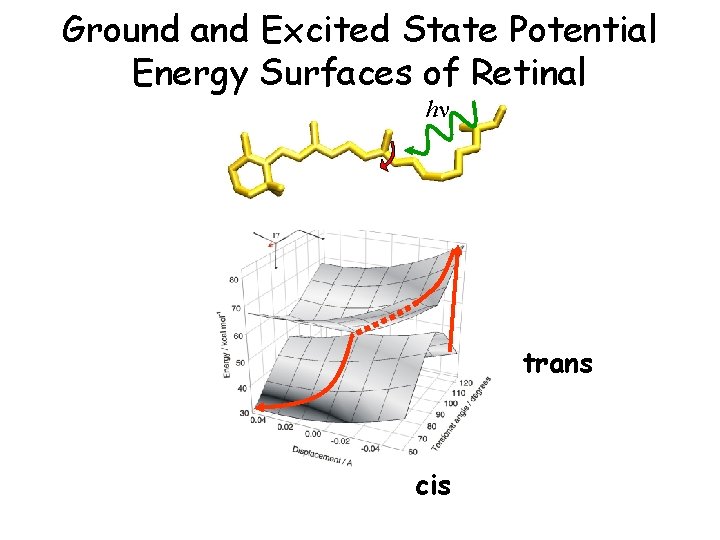 Ground and Excited State Potential Energy Surfaces of Retinal hn trans cis Ground and Excited State Potential Energy Surfaces of Retinal hn trans cis