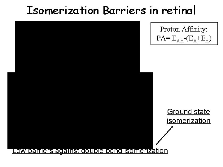 Isomerization Barriers in retinal Proton Affinity: PA= EAH-(EA+EH) Ground state isomerization Low barriers against Isomerization Barriers in retinal Proton Affinity: PA= EAH-(EA+EH) Ground state isomerization Low barriers against