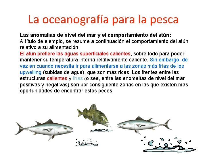 La oceanografía para la pesca Las anomalías de nivel del mar y el comportamiento