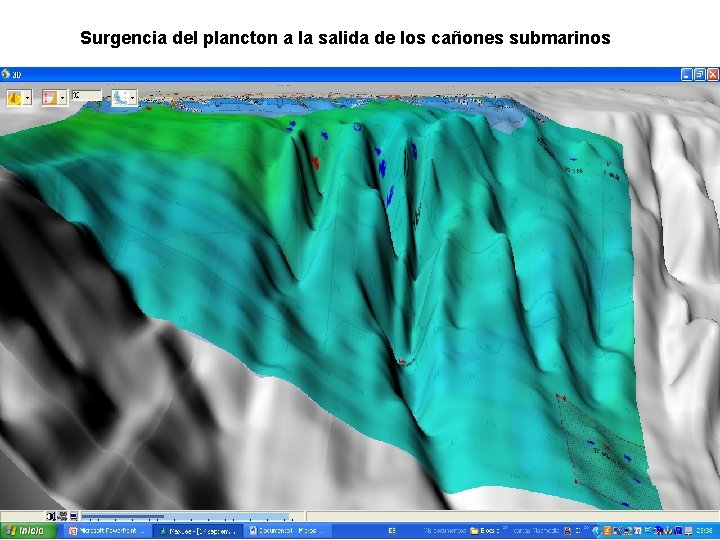 Surgencia del plancton a la salida de los cañones submarinos 