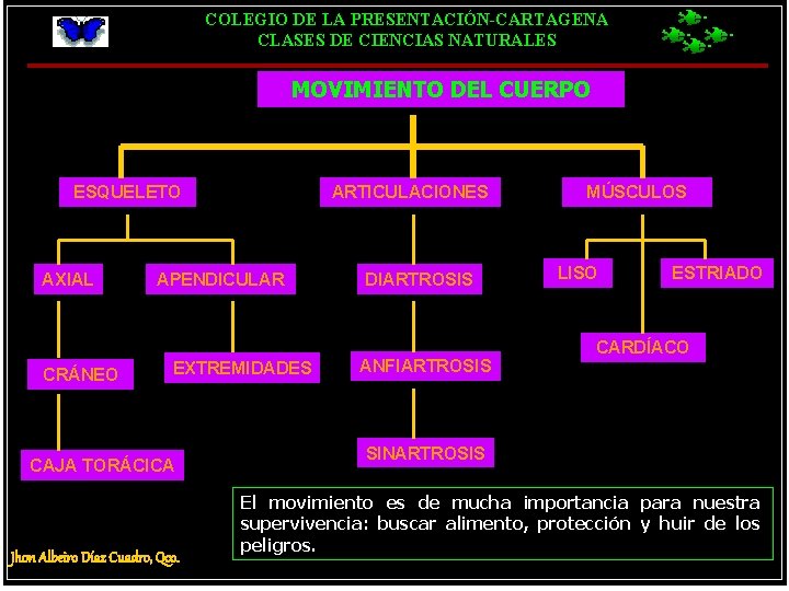 COLEGIO DE LA PRESENTACIÓN-CARTAGENA CLASES DE CIENCIAS NATURALES MOVIMIENTO DEL CUERPO ESQUELETO AXIAL CRÁNEO