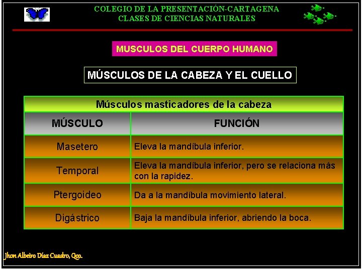 COLEGIO DE LA PRESENTACIÓN-CARTAGENA CLASES DE CIENCIAS NATURALES MUSCULOS DEL CUERPO HUMANO MÚSCULOS DE