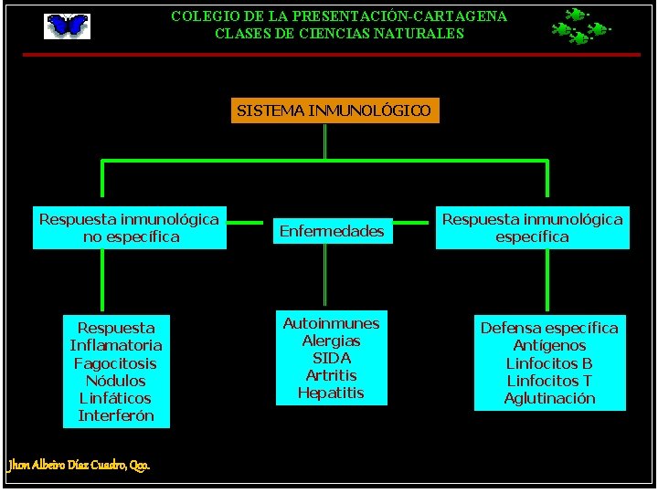 COLEGIO DE LA PRESENTACIÓN-CARTAGENA CLASES DE CIENCIAS NATURALES SISTEMA INMUNOLÓGICO Respuesta inmunológica no específica