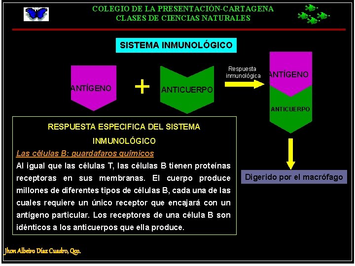 COLEGIO DE LA PRESENTACIÓN-CARTAGENA CLASES DE CIENCIAS NATURALES SISTEMA INMUNOLÓGICO ANTÍGENO + Respuesta inmunológica