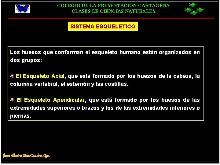 COLEGIO DE LA PRESENTACIÓN-CARTAGENA CLASES DE CIENCIAS NATURALES SISTEMA ESQUELETICO Los huesos que conforman