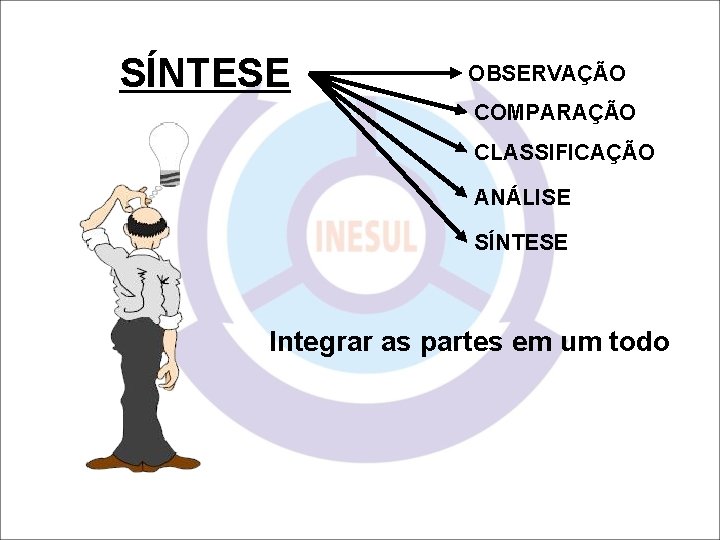 SÍNTESE OBSERVAÇÃO COMPARAÇÃO CLASSIFICAÇÃO ANÁLISE SÍNTESE Integrar as partes em um todo 