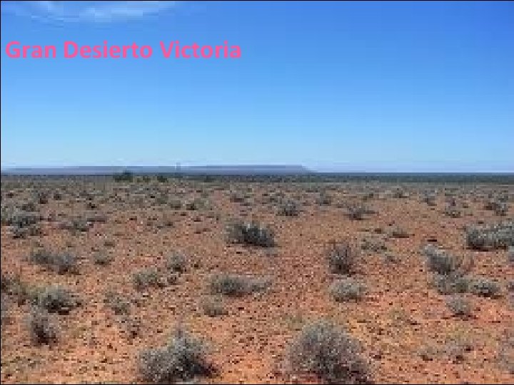 Gran Desierto Victoria 26/04/12 Gran Desierto Victoria 26/04/12