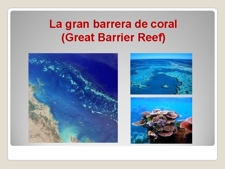 La gran barrera de coral (Great Barrier Reef) La gran barrera de coral (Great Barrier Reef)