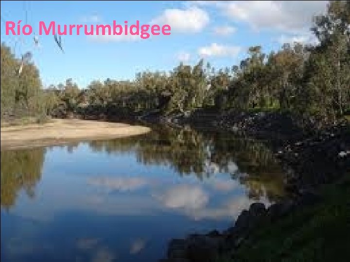 Río Murrumbidgee 26/04/12 Río Murrumbidgee 26/04/12