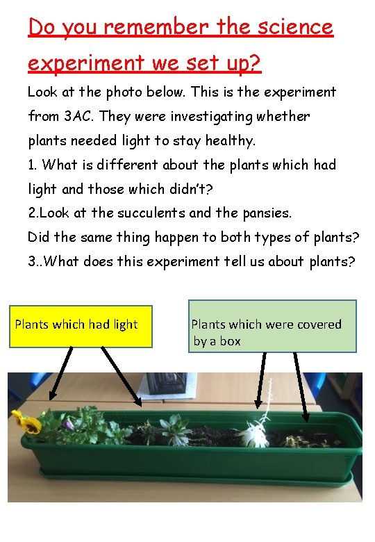 Do you remember the science experiment we set up? Look at the photo below.