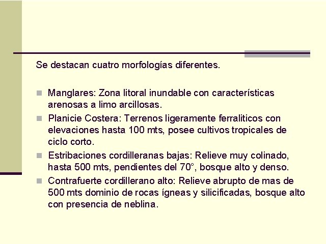 Se destacan cuatro morfologías diferentes. n Manglares: Zona litoral inundable con características arenosas a