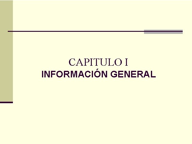 CAPITULO I INFORMACIÓN GENERAL 