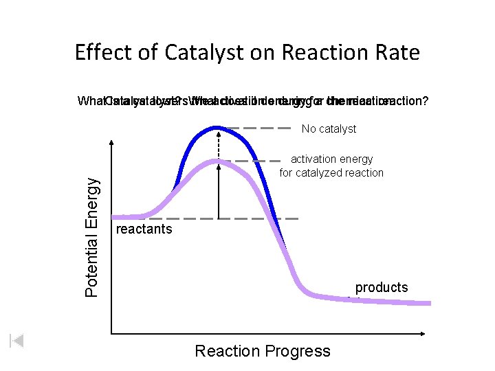 Effect of Catalyst on Reaction Rate What. Catalyst is a catalyst? does it do