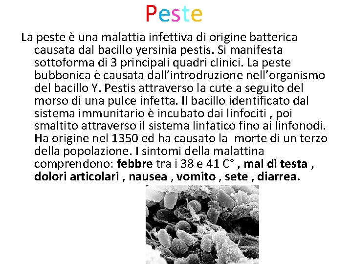 Peste La peste è una malattia infettiva di origine batterica causata dal bacillo yersinia