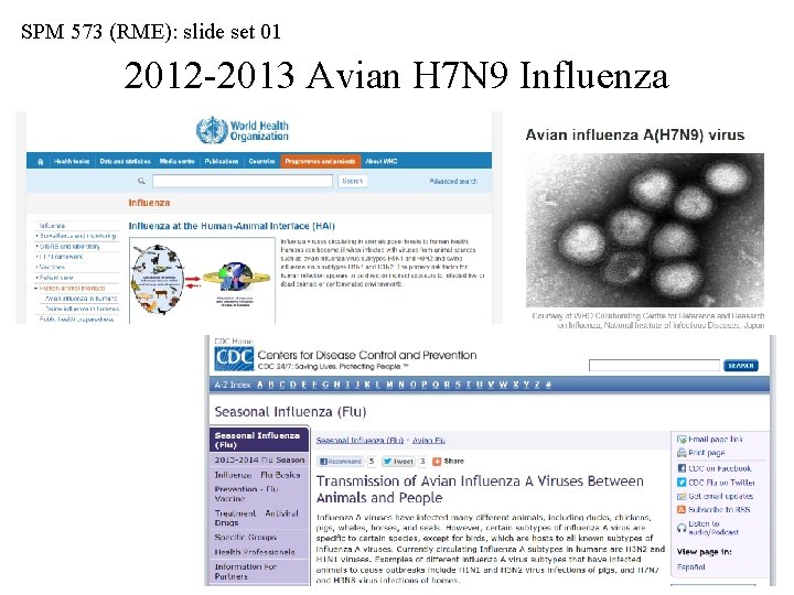 SPM 573 (RME): slide set 01 2012 -2013 Avian H 7 N 9 Influenza