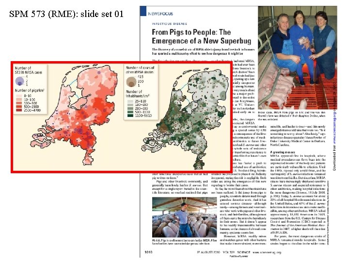 SPM 573 (RME): slide set 01 Ferber, D. 2010. From pigs to people: The