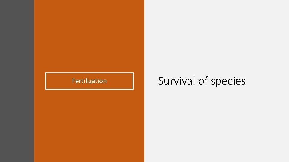 Fertilization Survival of species 
