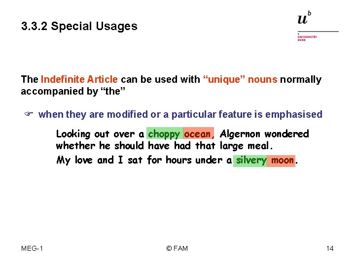 3. 3. 2 Special Usages The Indefinite Article can be used with “unique” nouns