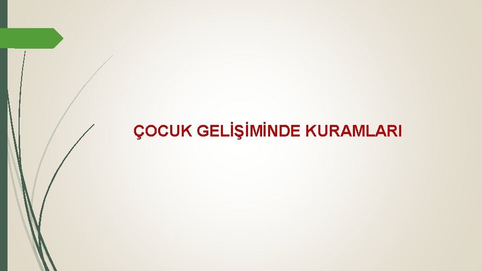 ÇOCUK GELİŞİMİNDE KURAMLARI 