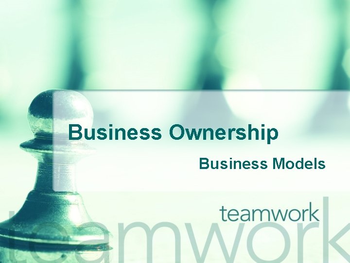 Business Ownership Business Models 