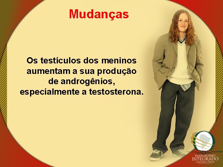 Mudanças Os testículos dos meninos aumentam a sua produção de androgênios, especialmente a testosterona.