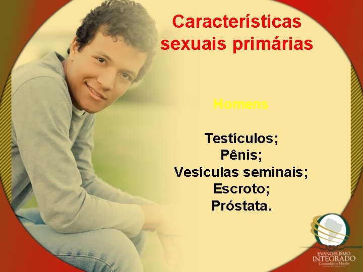 Características sexuais primárias Homens Testículos; Pênis; Vesículas seminais; Escroto; Próstata. 
