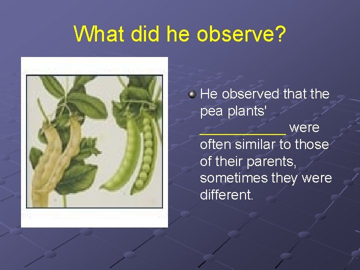 What did he observe? He observed that the pea plants' ______ were often similar
