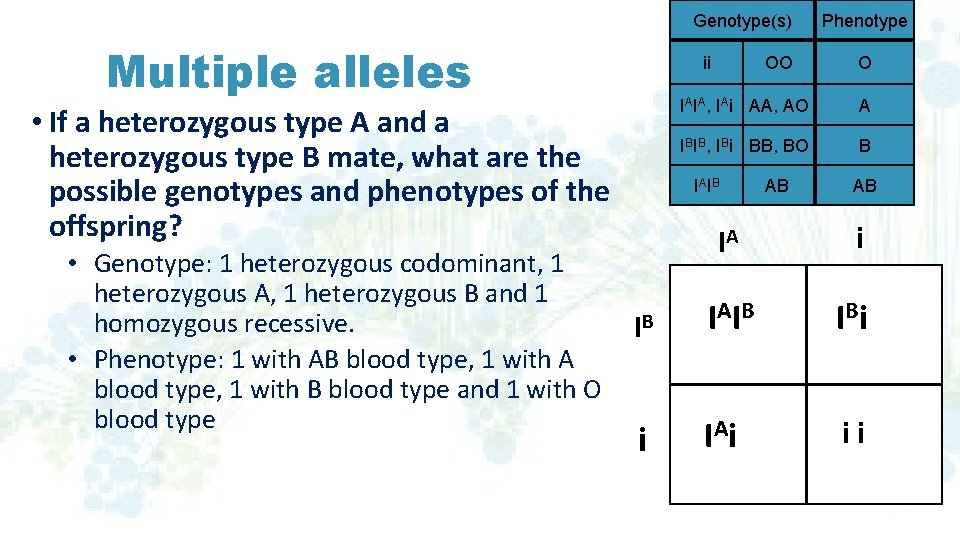 Genotype(s) Multiple alleles ii • If a heterozygous type A and a heterozygous type