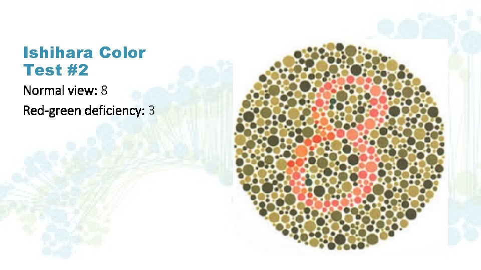 Ishihara Color Test #2 Normal view: 8 Red-green deficiency: 3 