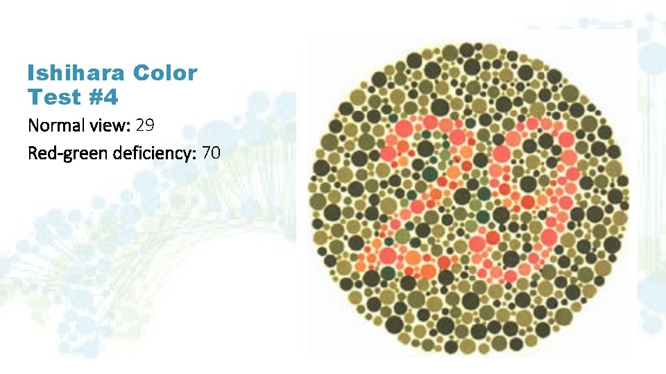 Ishihara Color Test #4 Normal view: 29 Red-green deficiency: 70 