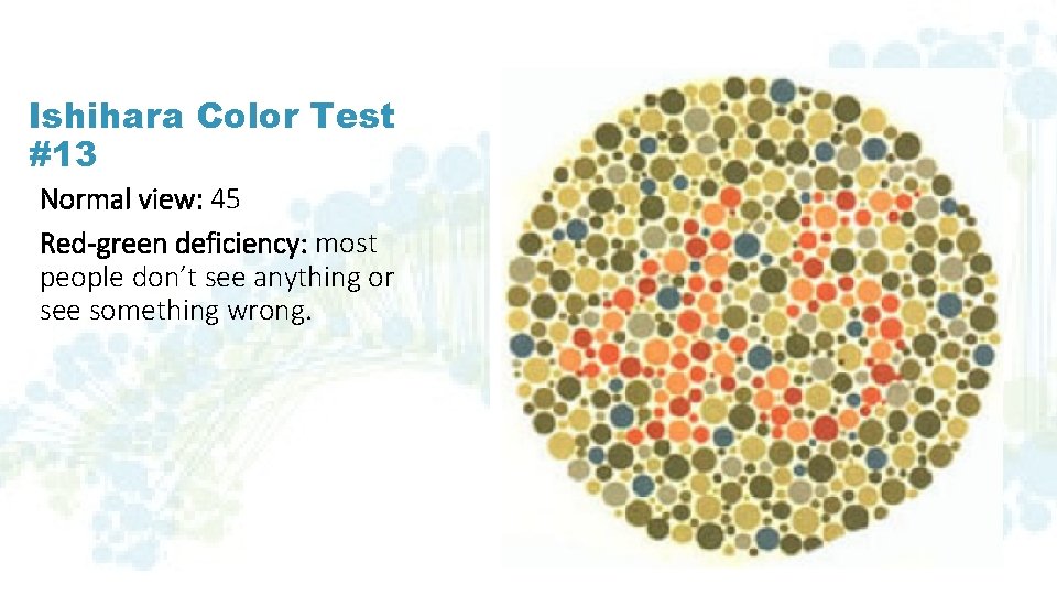 Ishihara Color Test #13 Normal view: 45 Red-green deficiency: most people don’t see anything