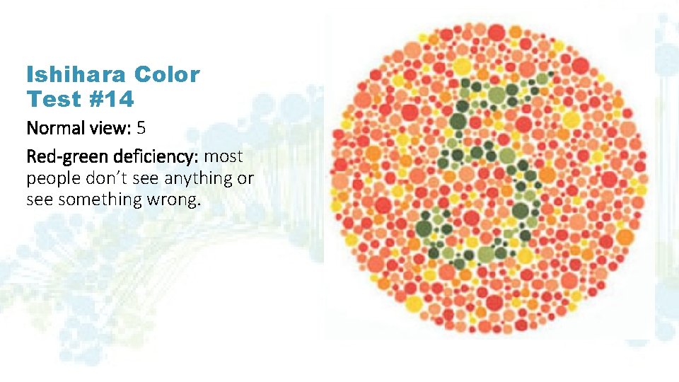 Ishihara Color Test #14 Normal view: 5 Red-green deficiency: most people don’t see anything