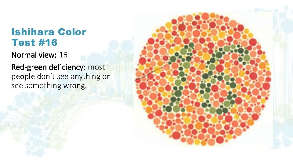 Ishihara Color Test #16 Normal view: 16 Red-green deficiency: most people don’t see anything