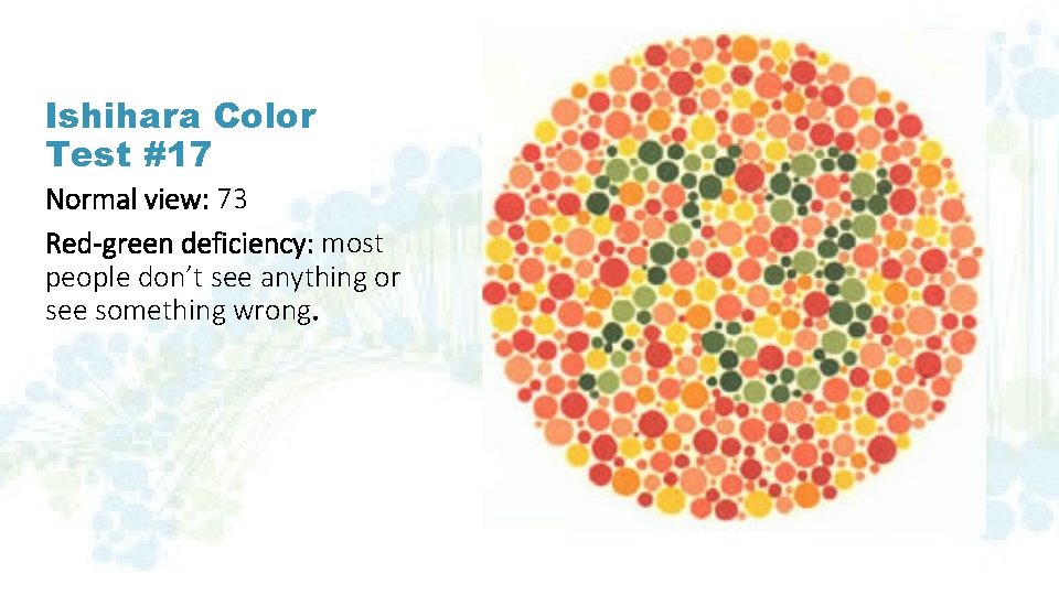 Ishihara Color Test #17 Normal view: 73 Red-green deficiency: most people don’t see anything