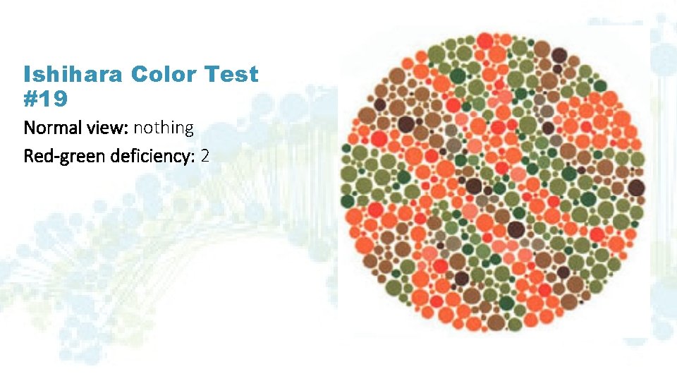 Ishihara Color Test #19 Normal view: nothing Red-green deficiency: 2 