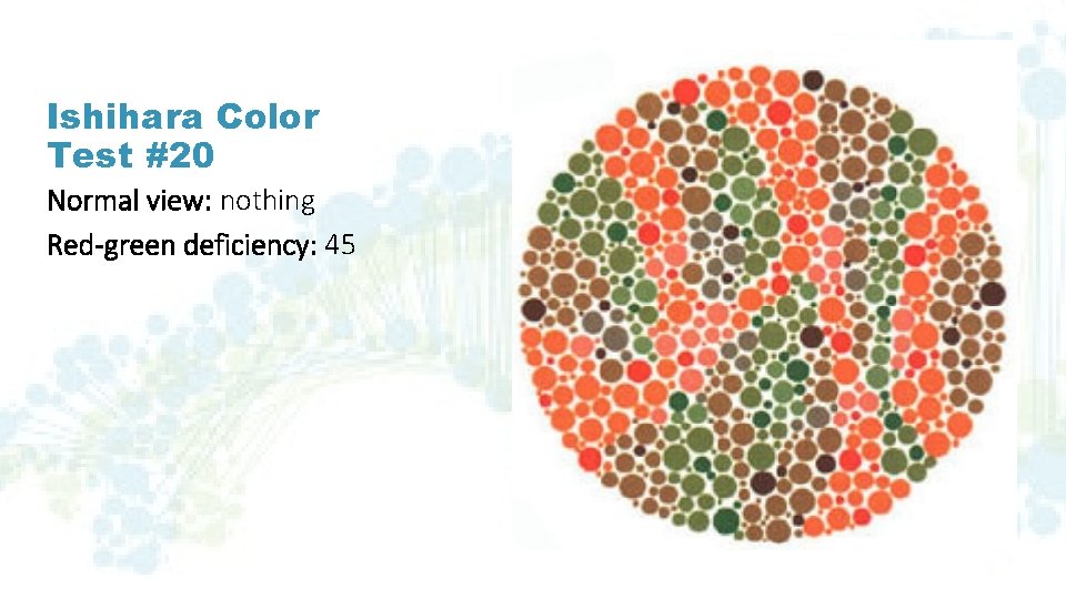 Ishihara Color Test #20 Normal view: nothing Red-green deficiency: 45 