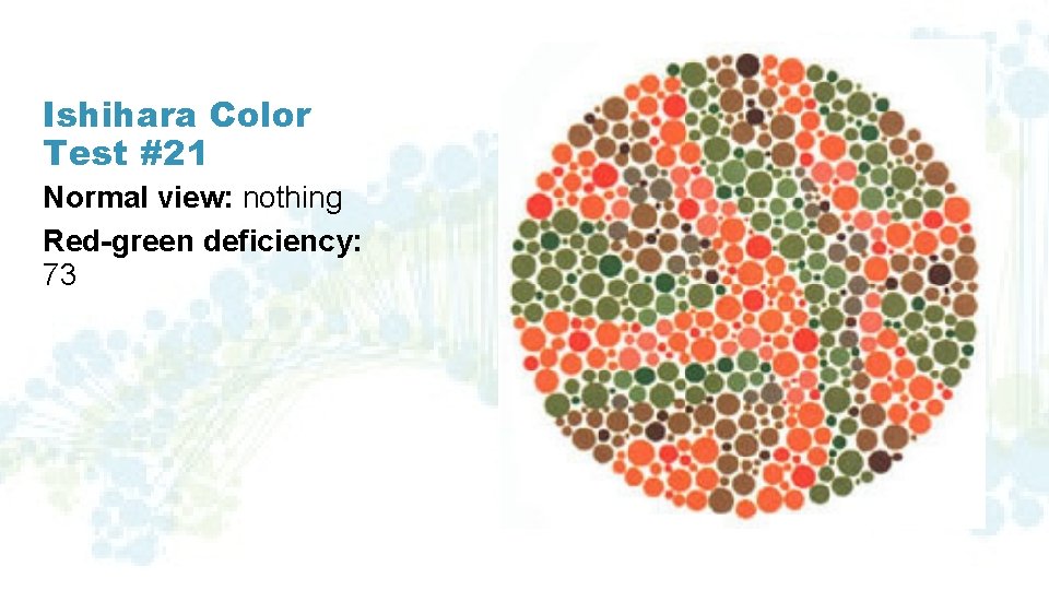 Ishihara Color Test #21 Normal view: nothing Red-green deficiency: 73 