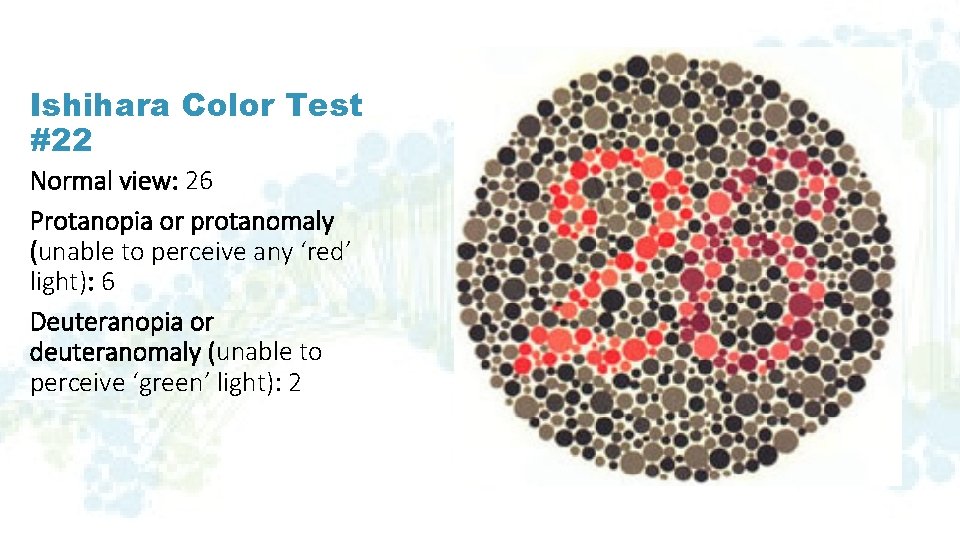 Ishihara Color Test #22 Normal view: 26 Protanopia or protanomaly (unable to perceive any