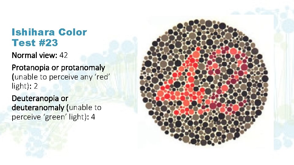 Ishihara Color Test #23 Normal view: 42 Protanopia or protanomaly (unable to perceive any