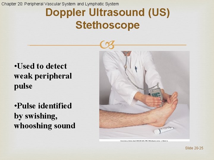 Chapter 20: Peripheral Vascular System and Lymphatic System Doppler Ultrasound (US) Stethoscope • Used